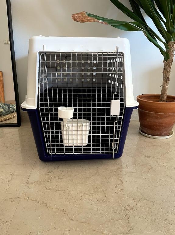 Pp50 dog crate sales