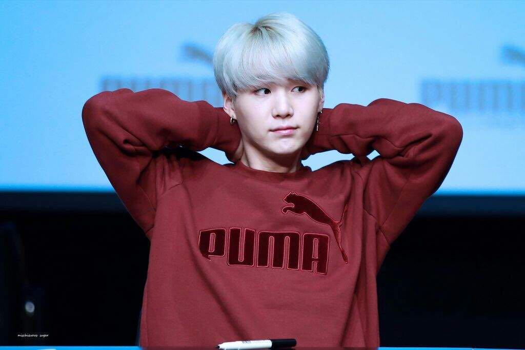 Puma Korea Maroon Sweatshirt BNWT size L rtp 100