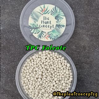 (Category: ) located in . Submitted by theplantconcept (Listing ID 1096133102, Image 1). Description: .