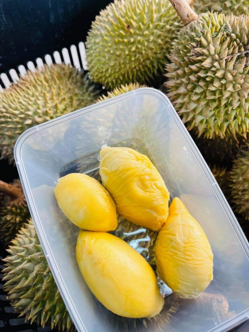 Organic XO Durian SALES!, Food & Drinks, Fresh Produce on Carousell