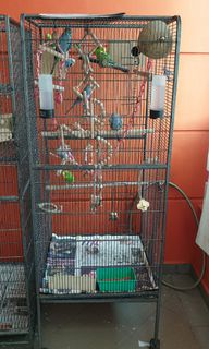 (Category: ) located in . Submitted by shally02 (Listing ID 1096356655, Image 1). Description: .