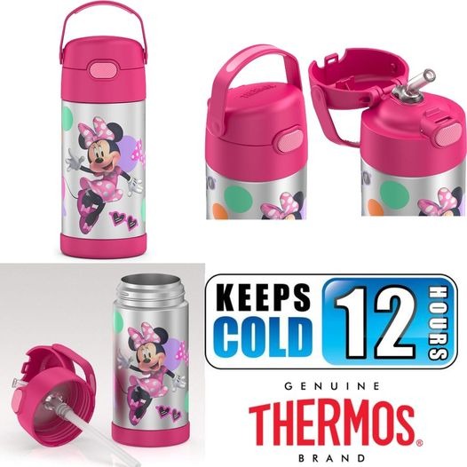 Thermos ® Disney® Minnie Mouse 12 oz. Funtainer® Bottle in Pink, Water  Bottle 12 Oz - Food 4 Less