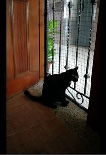 (Category: ) located in . Submitted by panaromic.services (Listing ID 1096376883, Image 1). Description: .