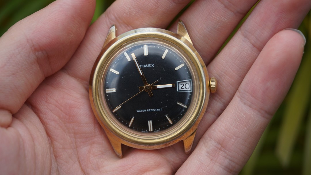 Timex clearance store