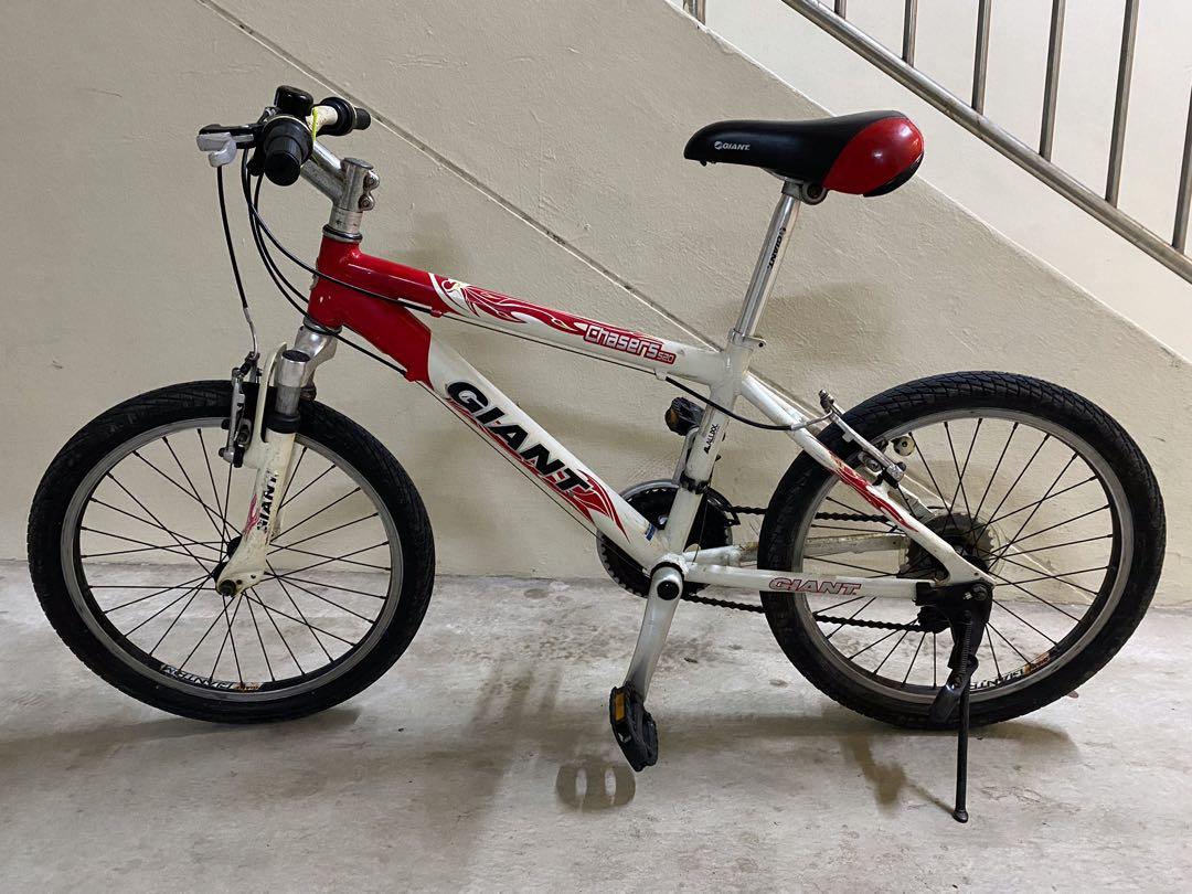 giant 20 inch mountain bike