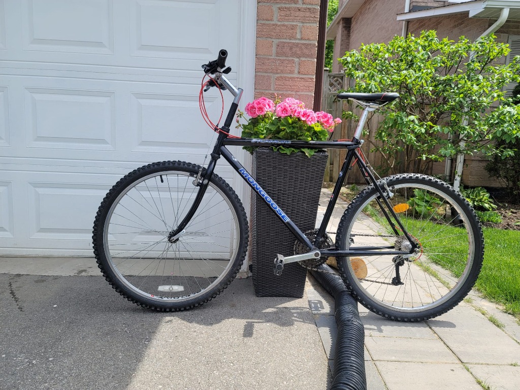 Sycamore mongoose on sale bike