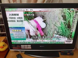 （分類：）位於 。 由 lilylily2021 提交（商品編號 1096463553，圖片 1）。簡介： 。