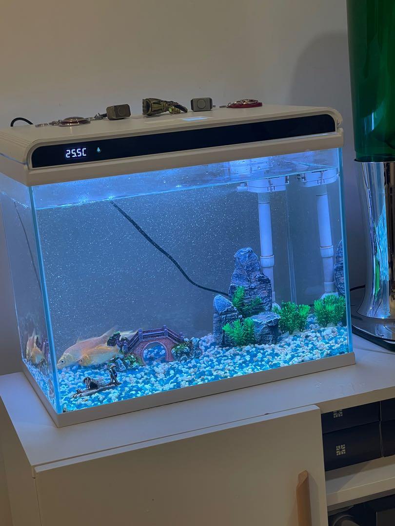 42LGlass Fish Tank whole set pump heater filter all, Pet Supplies