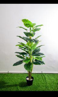 ( Cash on Delivery ) 1.2m  Artificial Plant Money Plant | $68 | big leave. Small leave all u can choose | Qxpress $10 | Home decor | Fake Plant Tree with pot