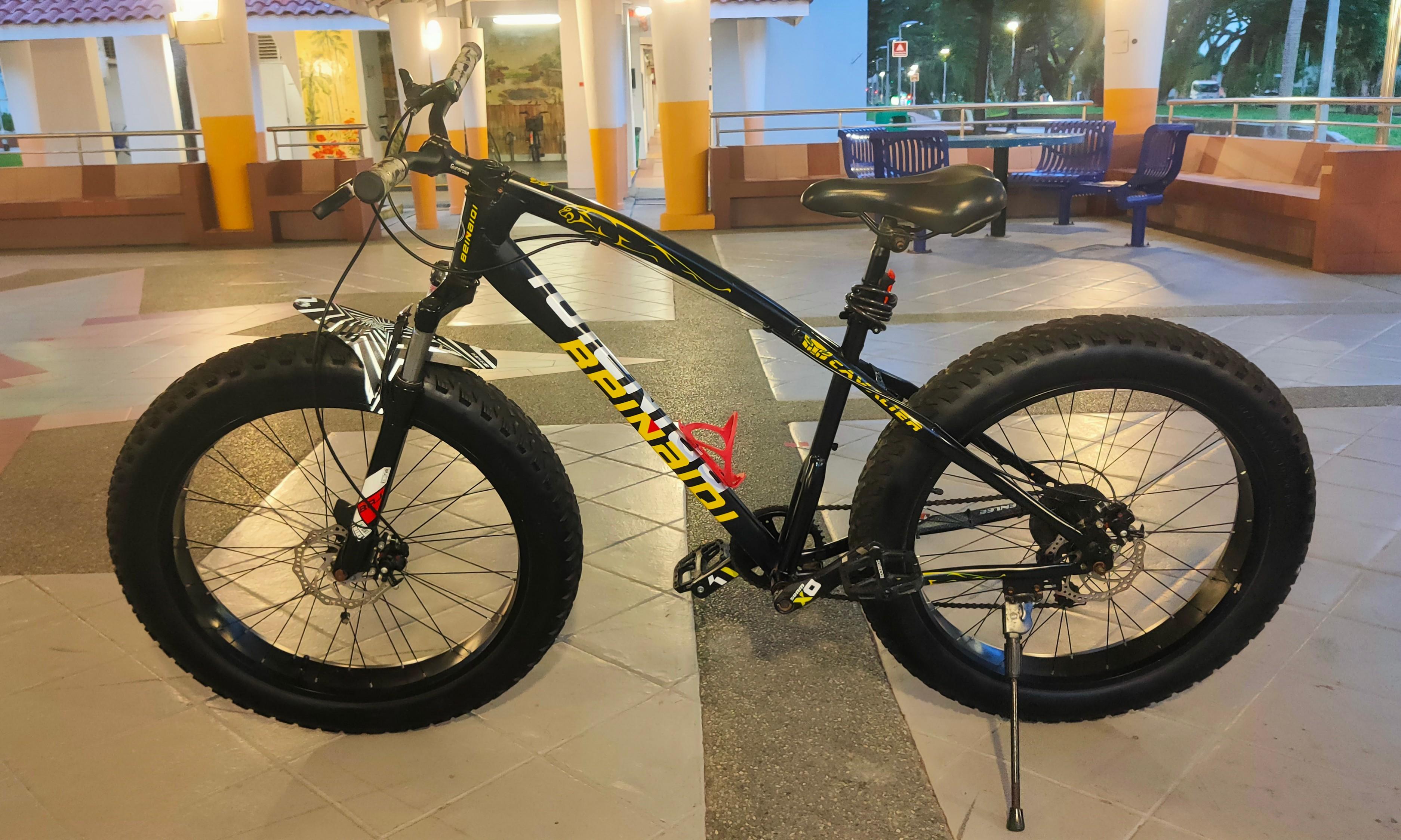 Beinaiqi fat bike electric store