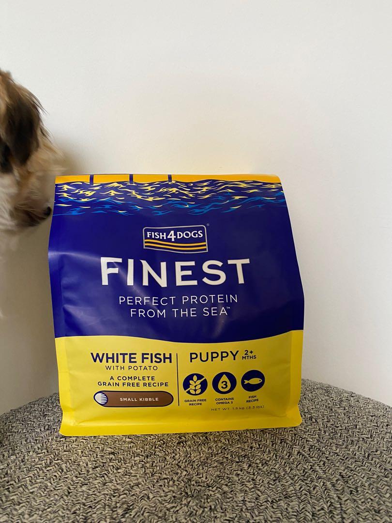 fish for dogs kibble