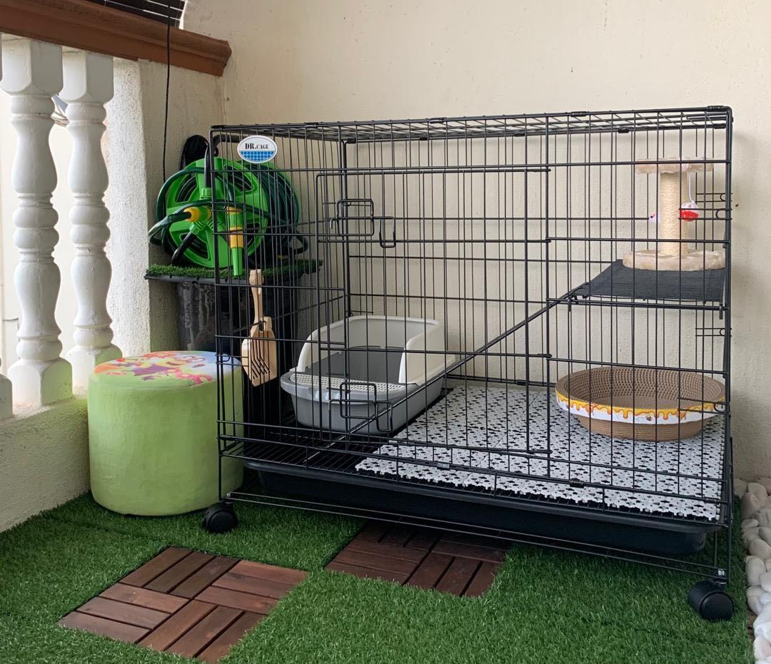 Sangkar Kucing (Dr. cage), Pet Supplies, Pet Accessories on Carousell