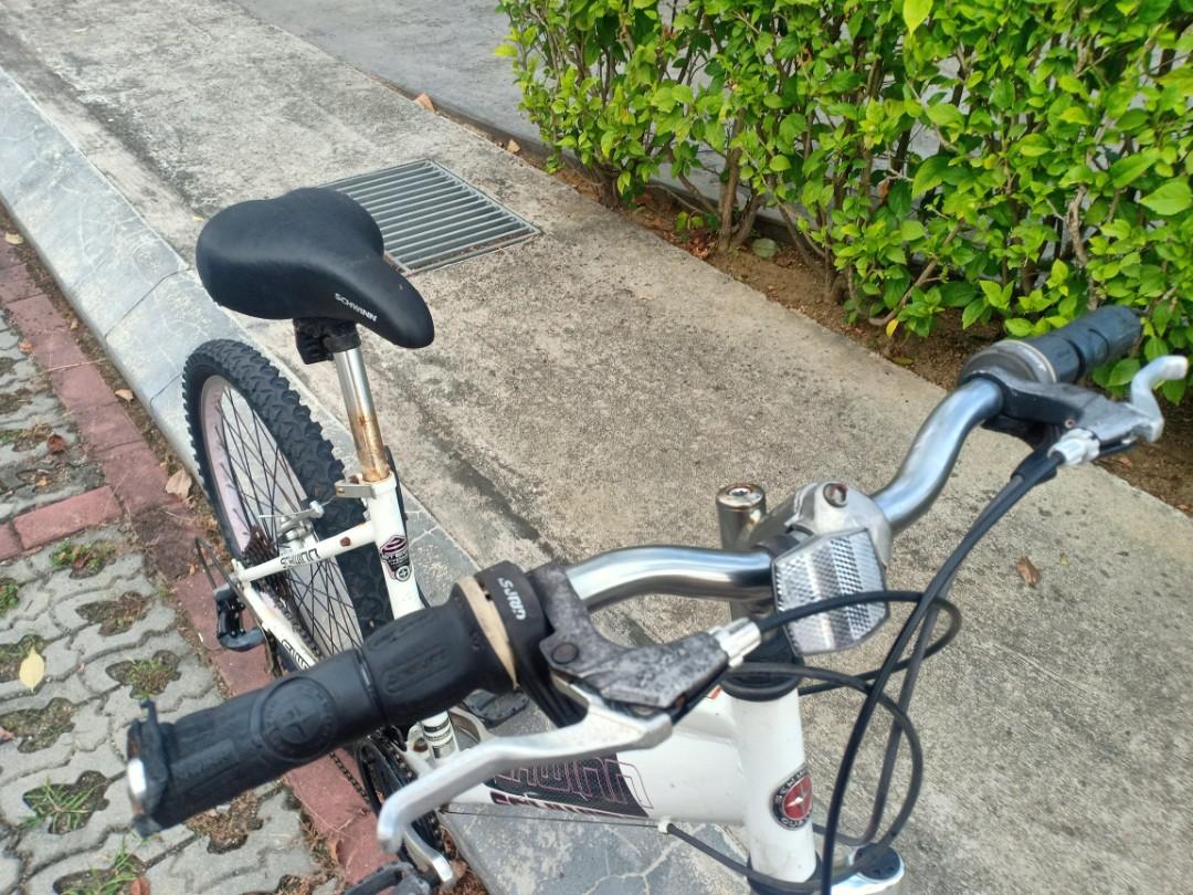 schwinn cascade 21 speed