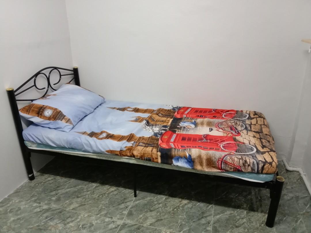 Single bed size shop 36 x 75