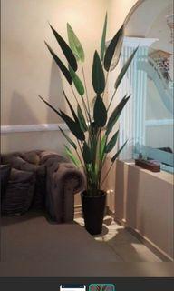 Skgarden | Skybird Artificial Plant | 60cm $35 | 120cm $75 | 160cm $98 | 180cm $118 | + flower $10 | Qxpress $10 | Home decor | Fake Plant Tree with pot