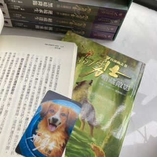 （分類：）位於 。 由 brenno9971 提交（商品編號 1096565222，圖片 1）。簡介： 。