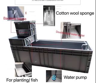 (Category: ) located in . Submitted by superaquarium (Listing ID 1096645191, Image 1). Description: .