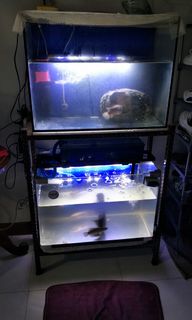 (Category: ) located in . Submitted by nor2929 (Listing ID 1096813887, Image 1). Description: .