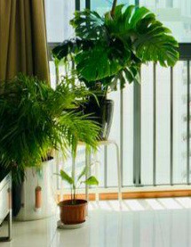 (Category: ) located in . Submitted by kapdubey (Listing ID 1096791098, Image 1). Description: .