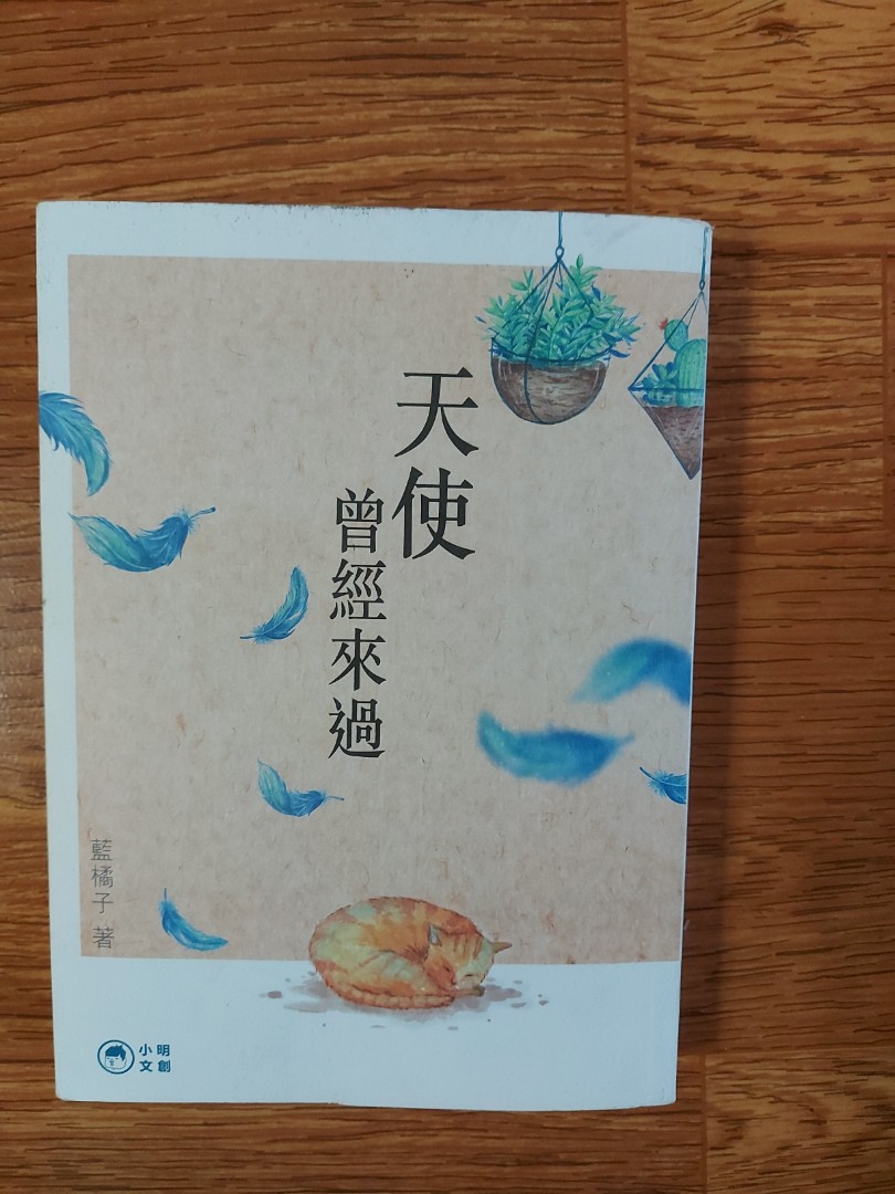 天使曾經來過 書本 文具 小說 故事書 Carousell