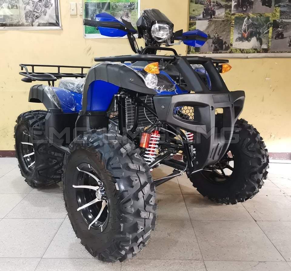 Rhino 250cc deals