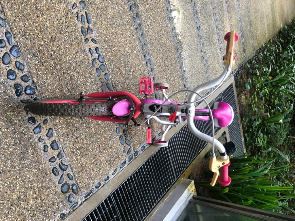 Bella girls bike deals