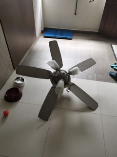 (Category: ) located in . Submitted by hawk001953 (Listing ID 1096795477, Image 1). Description: .