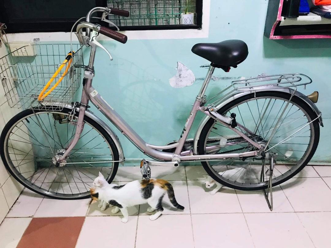 Bridgestone japanese bike 2025