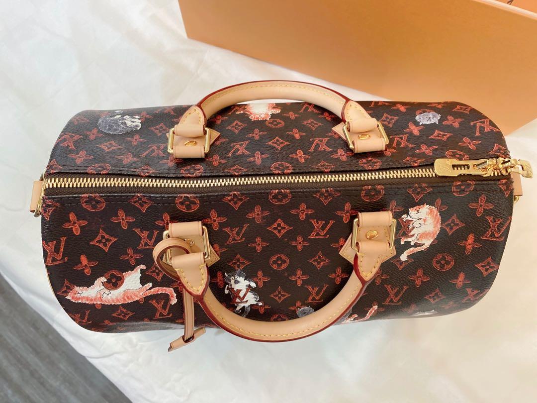 Louis Vuitton Catogram Bandoulier Speedy, Luxury, Bags & Wallets on  Carousell