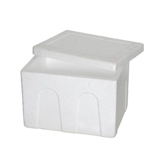 Polystyrene Box Ice Box Kitchen Appliances On Carousell