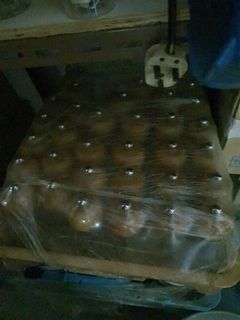 (Category: ) located in . Submitted by yan.collections (Listing ID 1096764975, Image 1). Description: .