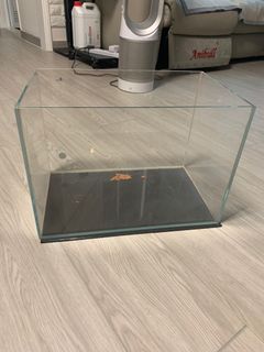 （分類：）位於 。 由 tttttj 提交（商品編號 1097007165，圖片 1）。簡介： 。