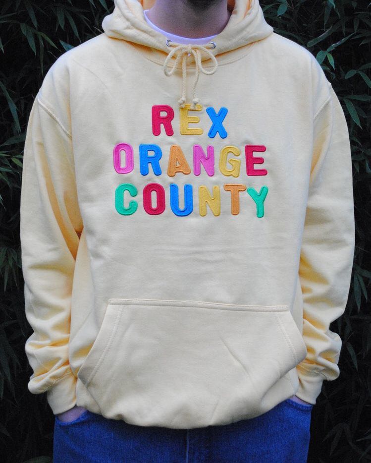 Rex orange county embroidered magnet shop hoodie