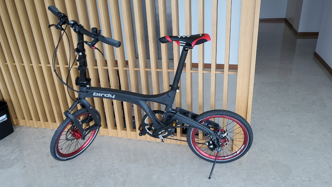 Birdy rohloff 2021 discount