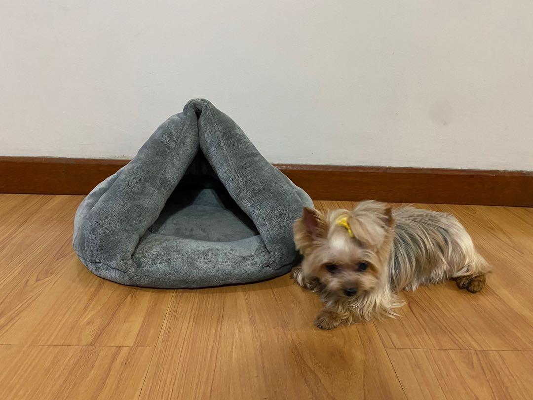 cone dog bed