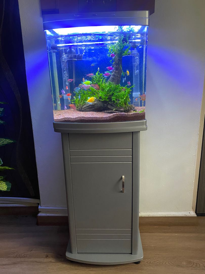 Aquarium Panjang 2 5 Kaki Pet Supplies Pet Accessories On Carousell