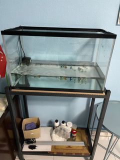 (Category: ) located in . Submitted by sash9sg (Listing ID 1096980061, Image 1). Description: .