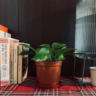 （分類：）位於 。 由 smilefwhm 提交（商品編號 1097044437，圖片 1）。簡介： 。