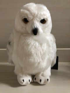（分類：）位於 。 由 88wing 提交（商品編號 1097020030，圖片 1）。簡介： 。