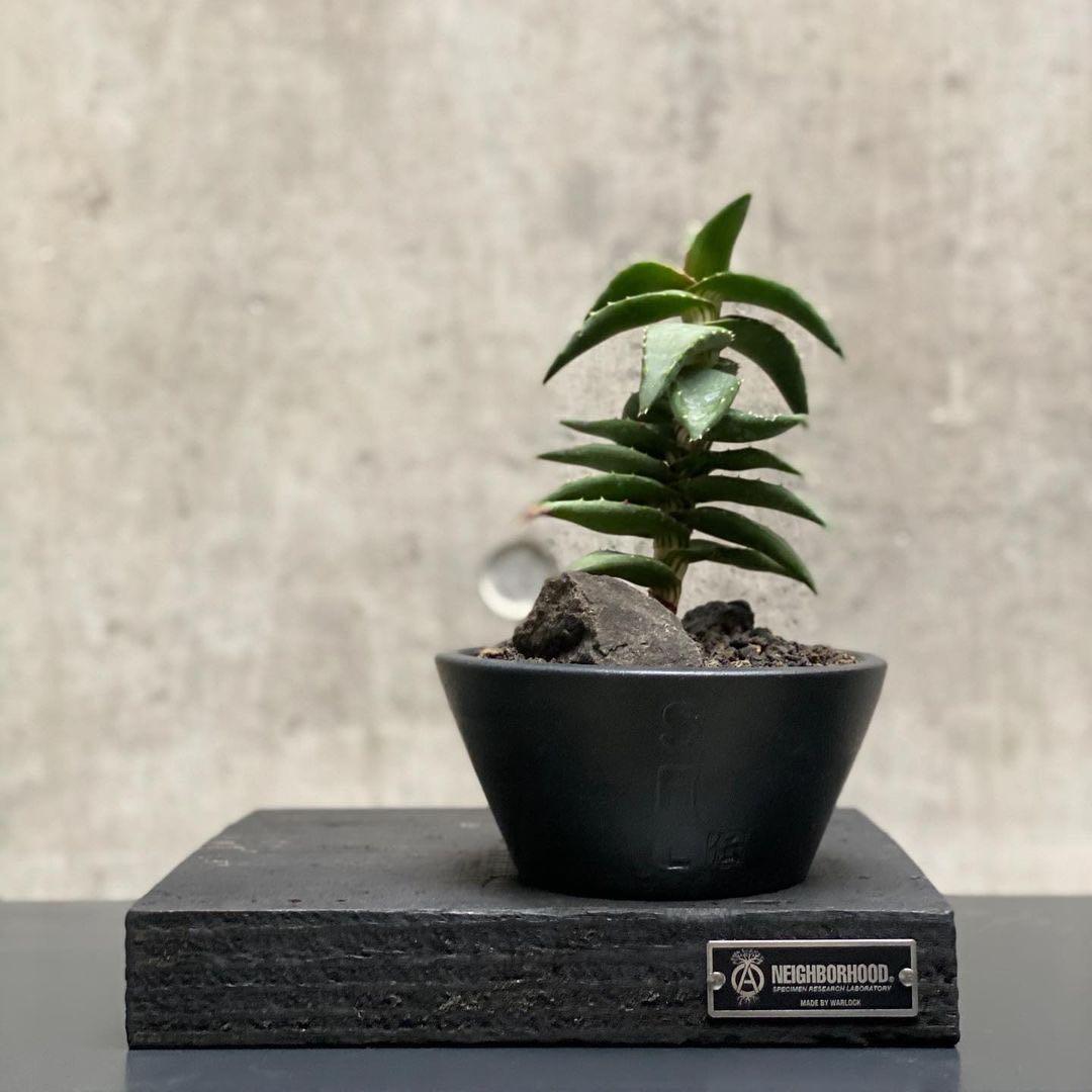 芸能人愛用 Neighborhood Srl Srl Spray P Atomizer インテリア 住まい 日用品 その他 Dastaknews Com