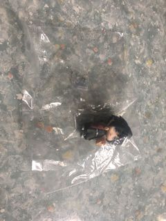 （分類：）位於 。 由 tanghoey 提交（商品編號 1097189885，圖片 1）。簡介： 。