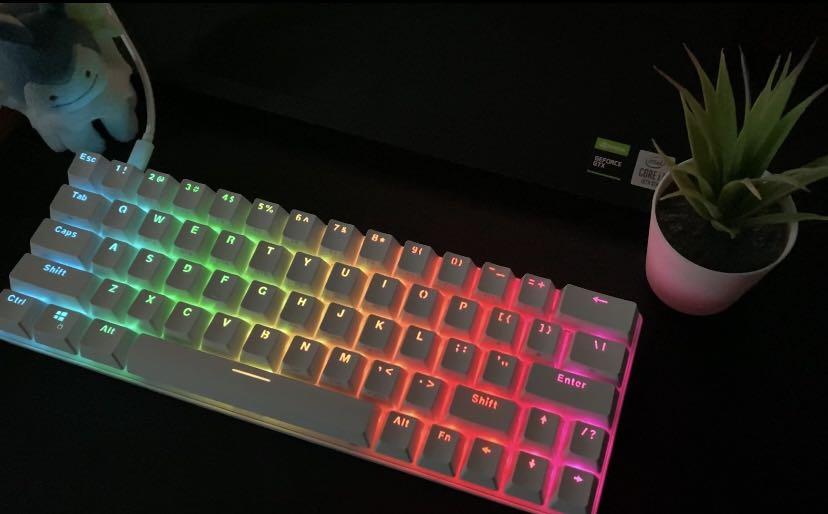 CHEAP MECHANICAL KEYBOARD Blitzwolf BWKB1 Gateron Red Switches