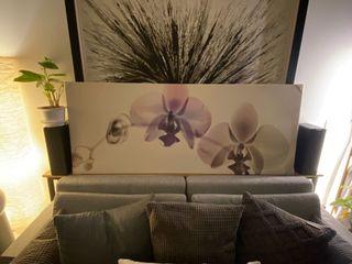 Ikea orchid frame