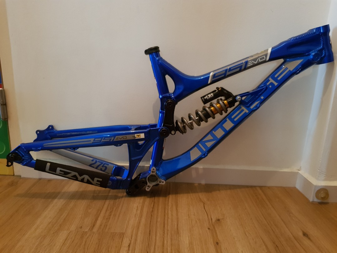 Intense 951 price 2025