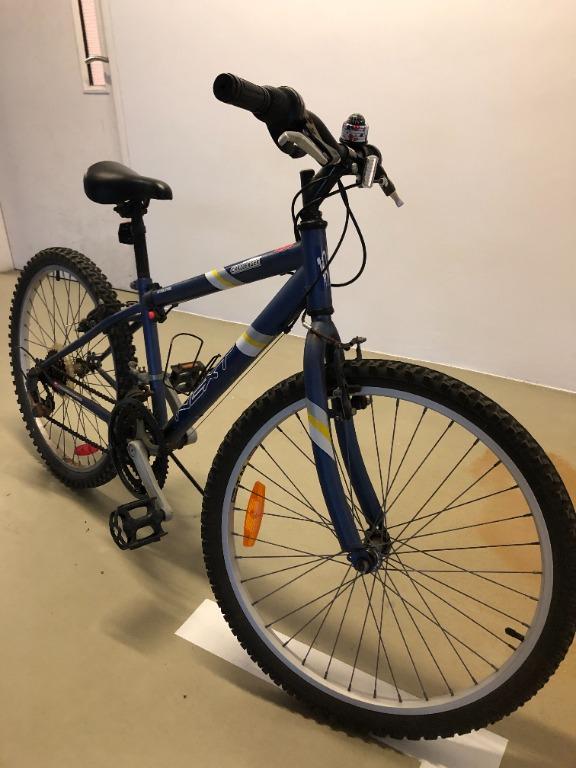 Next hot sale girls bike