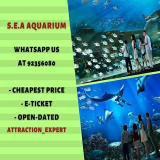 (Category: ) located in . Submitted by attraction_expert (Listing ID 1092824837, Image 1). Description: .