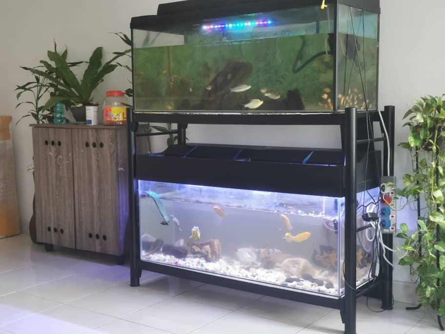 Aquarium Set Pet Supplies Pet Accessories On Carousell