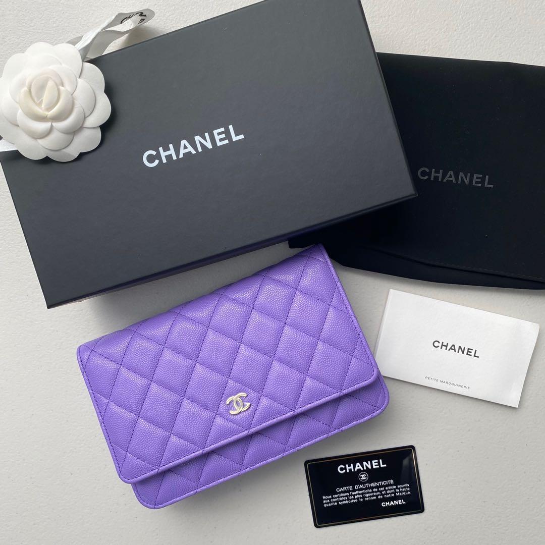The New Colors Of Chanel WOC And Mini Classic Flap Bag 49 OFF