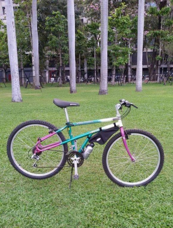 Twin 2025 peaks mtb