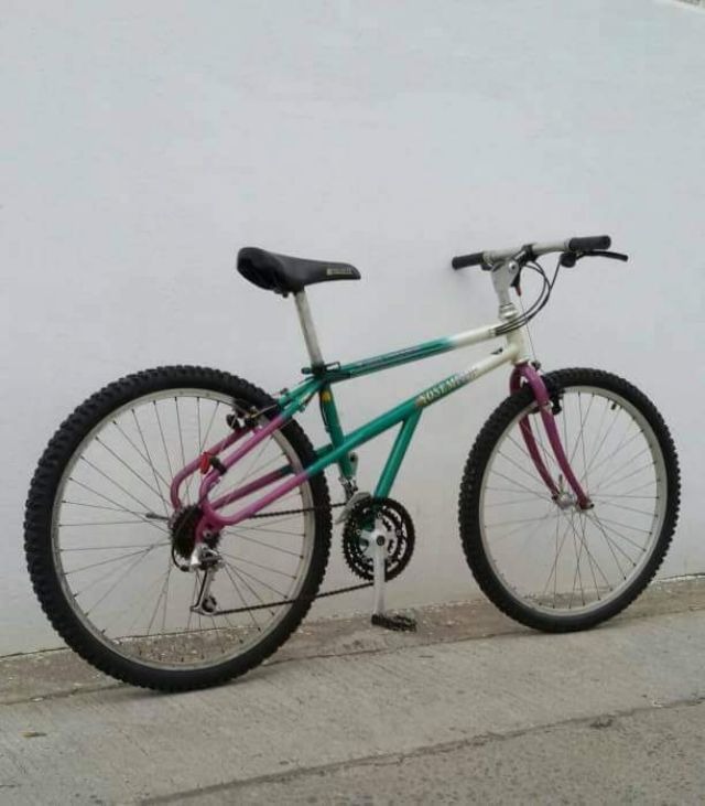 Twin peaks mtb 2025